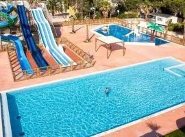 La palmeraie à torreilles