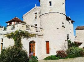 Château LA ROBERTERIE logement entier proche Saint Emilion，位于Juillac的酒店