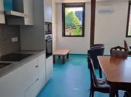 L'Arbre à Graines