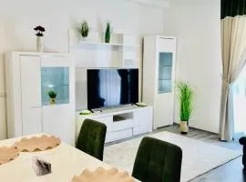 Apartament Andre Baile Felix
