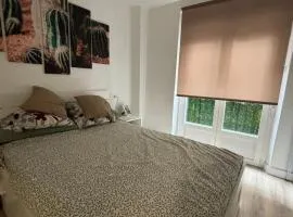 Pamplona Home