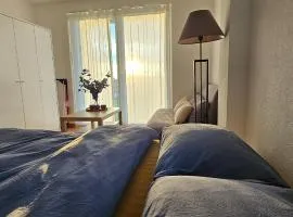 Magnifique Studio à louer