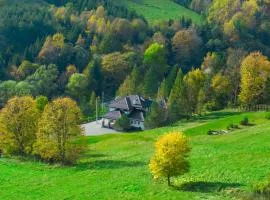 Honey Inn - Domek na 12 osób