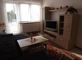 Ferienhaus-Olthoff