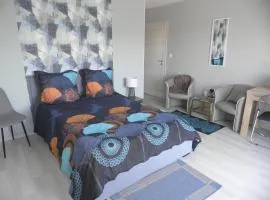 Grande chambre à louer