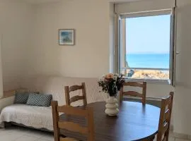T3 vue mer - face à la plage et au sentier des douaniers