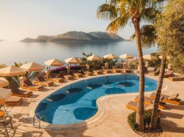 别墅酒店​​塔玛拉，位于卡斯的酒店