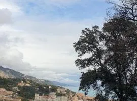 Mini Chalet Nature proche mer à Menton