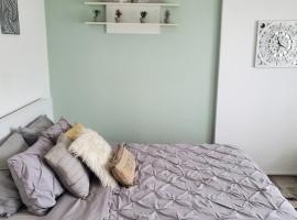 Relax Spa Apartment Novi Sad-Private Parking，位于诺维萨德的酒店