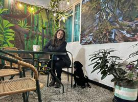 Hotel Boutique Refugio Llanero Centro Histórico，位于比亚维森西奥的酒店