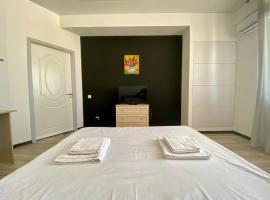 Apartament cu 2 odai Testemiteanu，位于基希讷乌的酒店