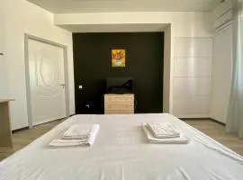 Apartament cu 2 odai Testemiteanu