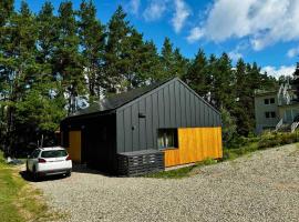 Pinetree Trakai holiday home，位于Gratiškės的酒店