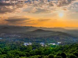Magic on the Hill by Carolina Mornings