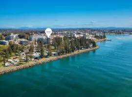 Tasman 4