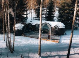 Pedaspä Igloo House and Sauna，位于Pedaspea的酒店