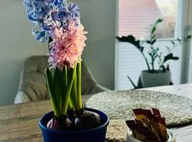 gemütliche Ferienwohnung mit Garten