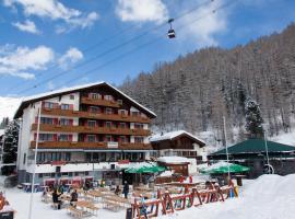 Hotel THE LARIX ski-in ski-out，位于萨斯费的酒店