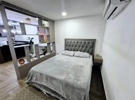 Elegante Loft Pitagoras 1