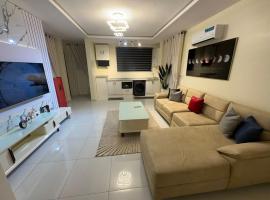 Spacious One Bedroom MiniFlat Apartment，位于拉各斯的酒店