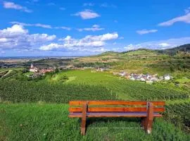 Gästehaus Weingut Mangel