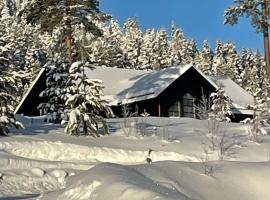 Villavemdalen，位于韦姆达伦的酒店