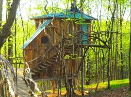 Uniquely Crafted Tree House Rental near Lake Saint Catherine, Vermont