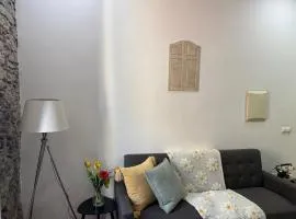 City Center Luxurious Studio