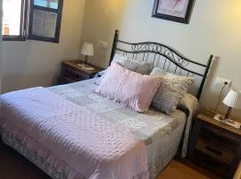 Vivienda Vacaional El Navariegu 2