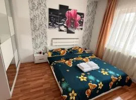 Medeea Apartament