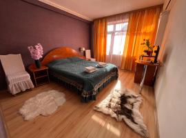 Hotel NS Barlad，位于Bîrlad的酒店