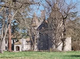 Apartment in a Renaissance castle，位于Layrac的酒店