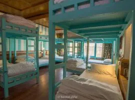 Himalayan Bunker Leh II