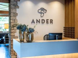 Hotel ANDER，位于布鲁尼科的酒店