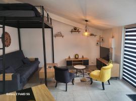 Petite maison cosy，位于阿尔比的酒店
