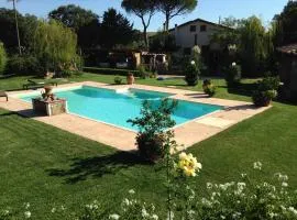 Tonini House