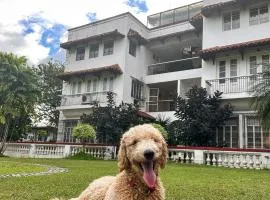 MiraNamin Nest KAMANTIGI Room in Unique Historic Home - Garden Access, Shared Kitchen, Pet Friendly with a Fee