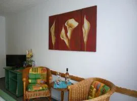 Pension am Peeneufer UG