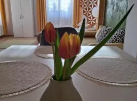 Pensiunea Casa Dorneană