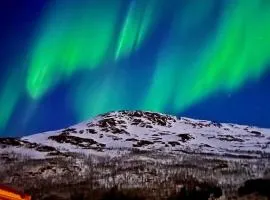Northern Lights Tiny House