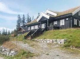 Nice Home In Rjukan With Wifi