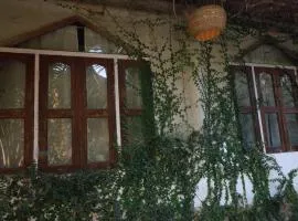 Backpackers eco village