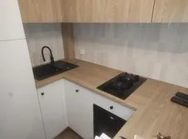 Vistula Flat