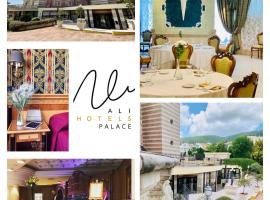 San Giovanni Rotondo Palace - Alihotels，位于圣乔瓦尼·罗通多的酒店