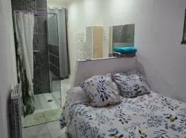 Appart 40m2 indépendant, confortable avec terasse