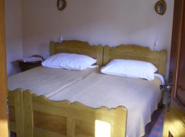 Apartments Iža Na Trem，位于Čigoč的酒店