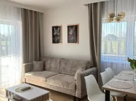DS Apartamenty Zator