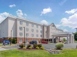 Comfort Inn & Suites Dover near Speedway