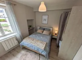 Appartement dans le quartier médiévale proche centre-ville !