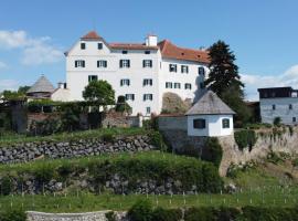 Schloss Kapfenstein，位于卡芬斯蒂恩的酒店